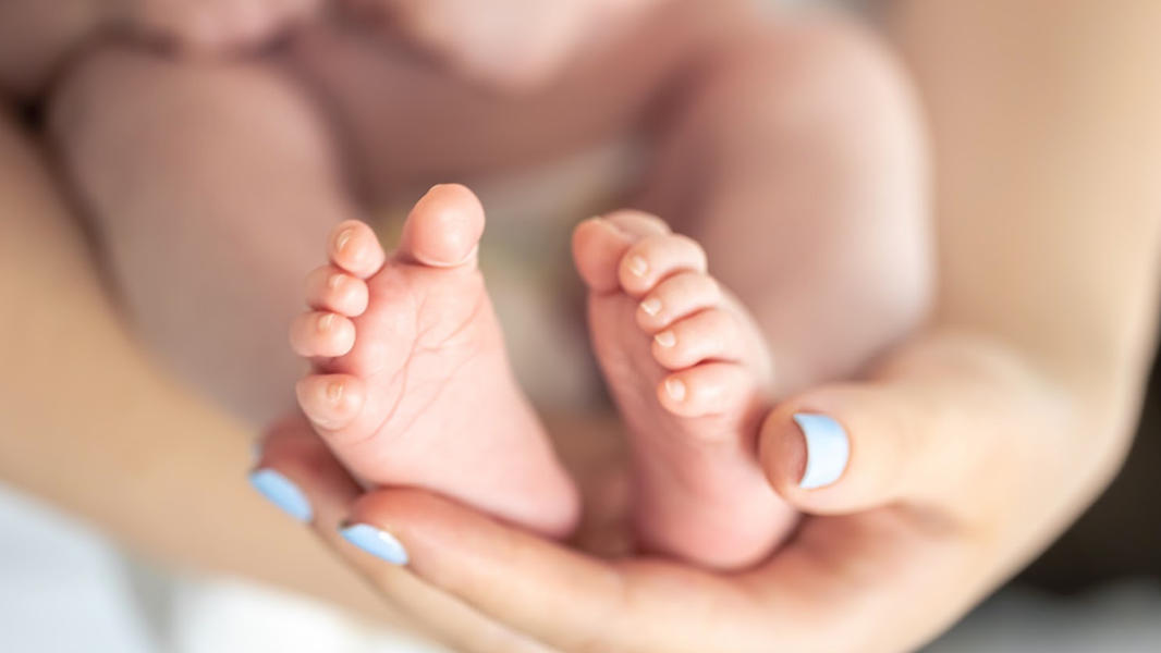 Pies de un bebé recién nacido - tips para mamá primeriza Babybelegal